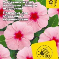 Купить семена Катарантус Хит Вейв Эприкот