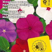 Купить семена Катарантус Хит Вейв Фулл микс