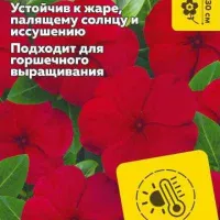 Купить семена Катарантус Хит Вейв Ред