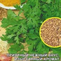 Купить семена Кориандр (кинза) Бородинский
