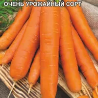 Купить семена Морковь Вита Лонга без сердцевины