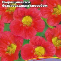 Купить семена Настурция Везувий низкорослая оранжевая