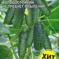 Купить семена Огурец Бум F1