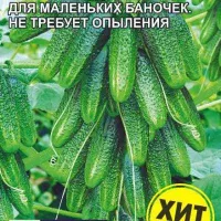 Купить семена Огурец Корюшка