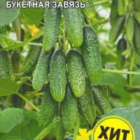 Купить семена Огурец Ребята Пикулята F1
