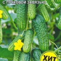 Купить семена Огурец Селедочка F1