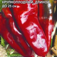 Купить семена Перец Болгарин