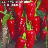 Купить семена Перец Боярин