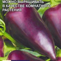 Купить семена Перец Сиреневый Блеск