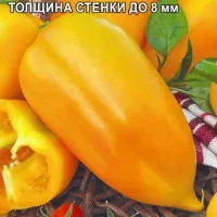 Купить семена Перец сладкий Бухгалтер Купить семена Перец сладкий Бухгалтер