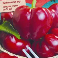 Купить семена Перец Китайские Фонарики