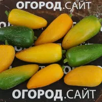 Купить семена Перец Халапеньо желтый
