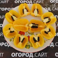 Купить семена Перец Рокото