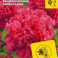 Купить семена Петуния Валентин махровая