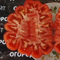 Купить семена Томат Американский ребристый розовый