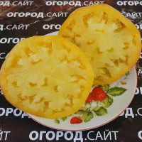 Купить семена Томат Большой зак желтый