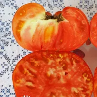 Купить семена Томат Большой зак