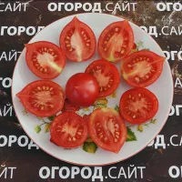 Купить семена томата Чудеса