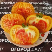 Купить семена Томат Деревенские