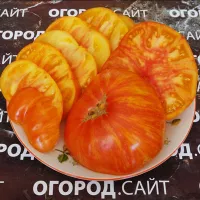 Купить семена Томат Король Красоты