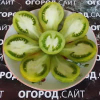 Купить семена Томат Майкл Поллан
