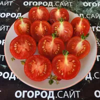 Купить семена Томат Моравское чудо