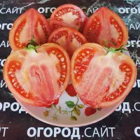 Купить семена Томат Полесский гигант Тарасенко