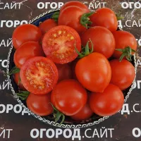 Купить семена Томат Поцелуй герани