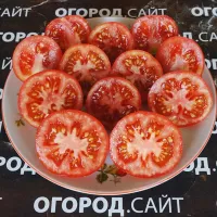 Купить семена Томат Ренет