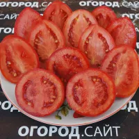 Купить семена Томат Рио гранде