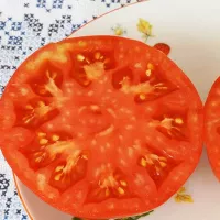 Купить семена Томат Самые лучшие