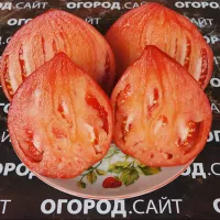 Купить семена Томат Сердце Венето