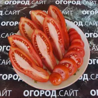 Купить семена Томат Стрелка