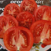 Купить семена Томат Топтыжка