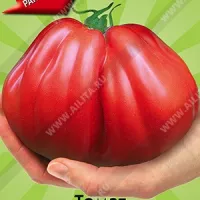 Купить семена Томат Абруццо