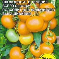 Купить семена Томат Алтын золотой