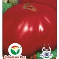 Купить семена Томат Андреевский сюрприз