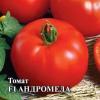 Купить семена Томат Андромеда F1