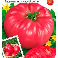 Купить семена Томат Бабушкин секрет