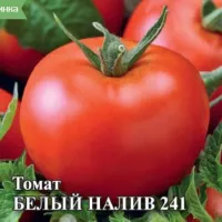 Купить семена Томат Белый налив 241