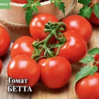 Купить семена Томат Ранняя девочка