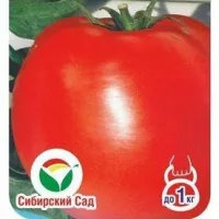 Купить семена Томат Безразмерный (сибирские томаты) (гигантские томаты)
