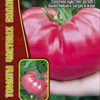 Купить семена Томат Брендивайн розовый