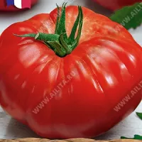 Купить семена Томат Буффалостейк