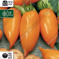 Купить семена Томат Буратино оранжевый