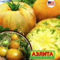 Купить семена Томат Чероки грин золотой