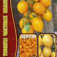 Купить семена Томат Джаджу Yellow Piennolo del Vesuvio, Гора Везувий