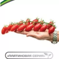 купить семена Томат черри Ваше благородие F1
