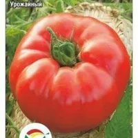 Купить семена Томат Чудо сада