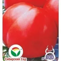 Купить семена Томат Цифомандра